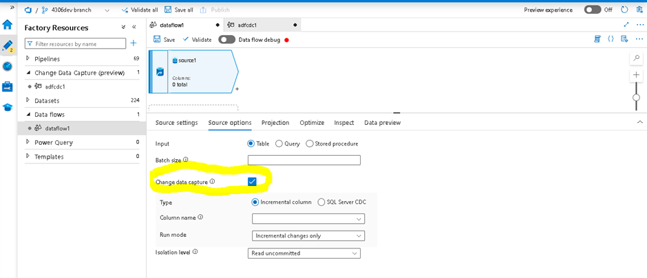 Change Data Capture using Azure Data Factory Change Data Checkbox