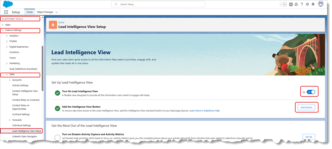 What is the Intelligence View in Salesforce? Lead Intelligence View