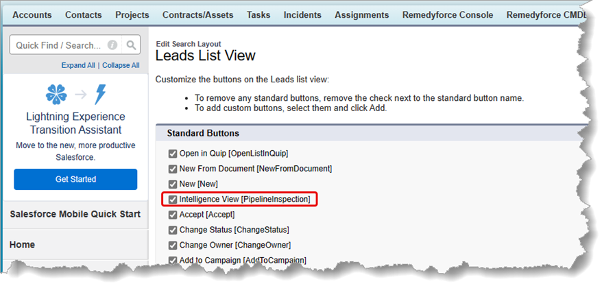 What is the Intelligence View in Salesforce? Leads List View Add Button