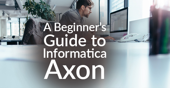 A Beginner’s Guide to Informatica Axon