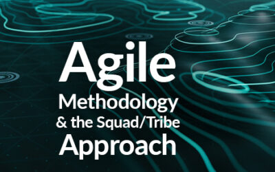 Agile Methodology and the Squad/Tribe Approach