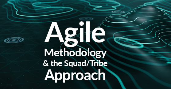 Agile Methodology and the Squad-Tribe Approach
