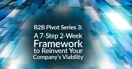 B2B Pivot Series 3- A 7-Step 2-Week Framework to Reinvent Your Company’s Viability