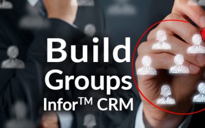 Build Groups within Infor™ CRM