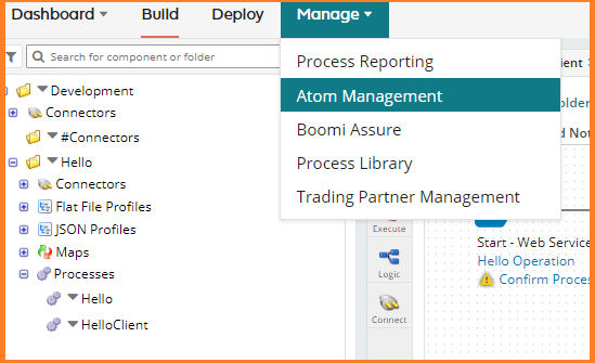 Dell Boomi API Management - Expose RESTful Service - Screenshot 1