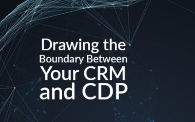 Drawing the Boundary Between Your CRM and CDP