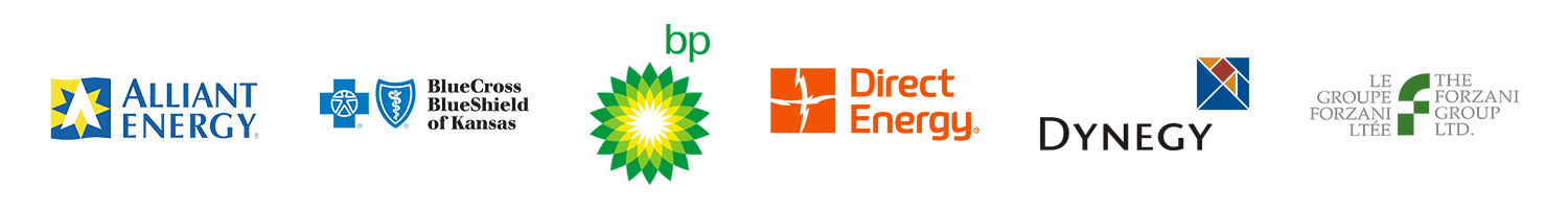 Enterprise Information Management Customers - Alliant Enerby, BlueCross BlueShield of Kansas, BP, Direct Energy, Dynegy, The Forzani Group LTD