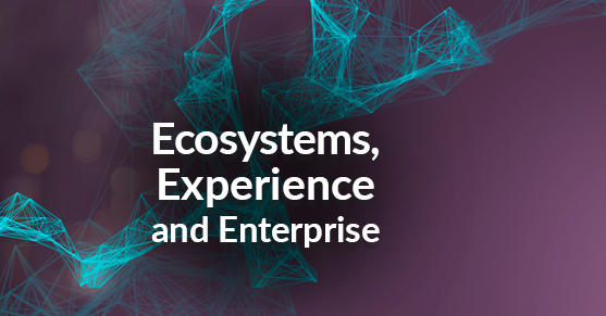 Digital Ecosystems Experience and Enterprise