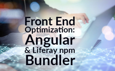 Front End Optimization: Angular and Liferay-npm-Bundler