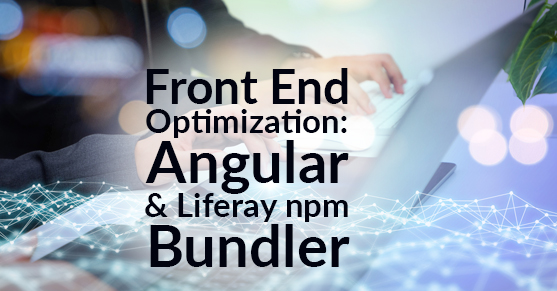 Front End Optimization- Angular and Liferay npm Bundler