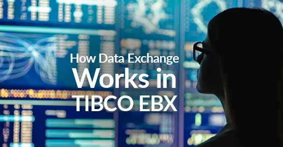 How Data Exchange Works In TIBCO EBX
