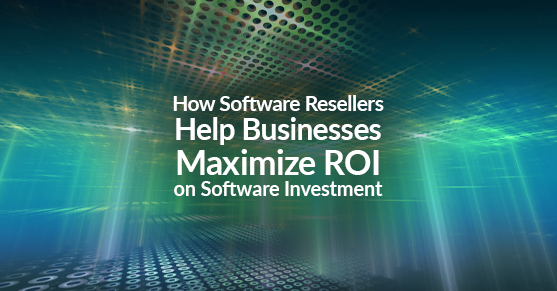 How Software Resellers Help Businesses Maximize ROI on Software Investment