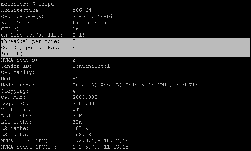 Sockets, Cores, and Threads - Linux lscpu