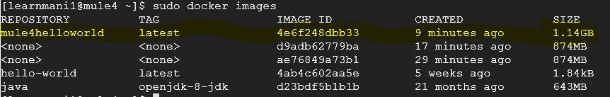 Mule 4 Image with HelloWorld App and Run Docker Container - Screenshot 13