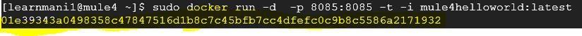 Mule 4 Image with HelloWorld App and Run Docker Container - Screenshot 16