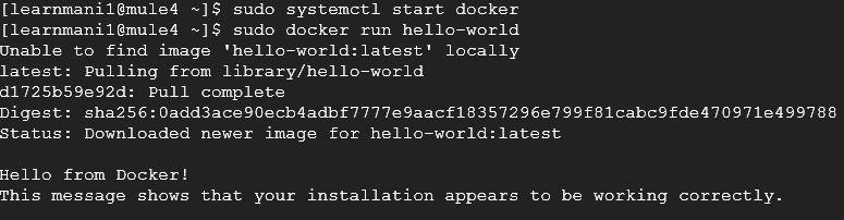 Mule 4 Image with HelloWorld App and Run Docker Container - Screenshot 8