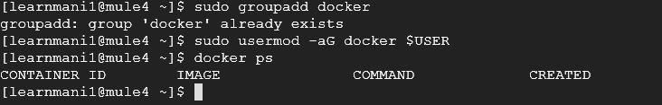 Mule 4 Image with HelloWorld App and Run Docker Container - Screenshot 9