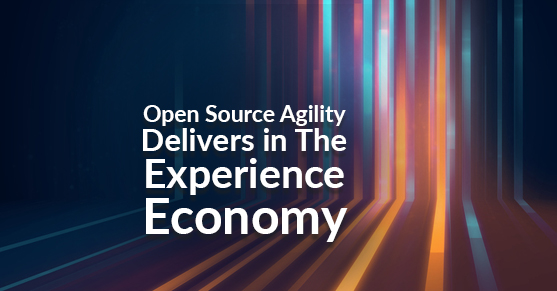 Open Source Agility Delivers in the Experience Economy