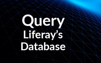 Query Liferay’s database to find documents marked searchable