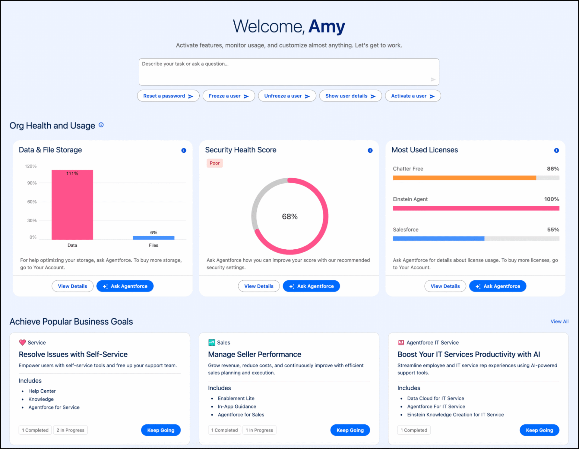 Setup with Agentforce Beta Dashboard