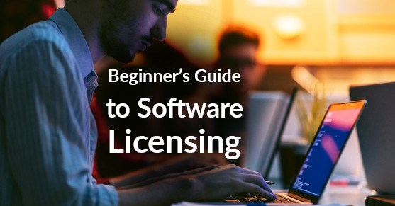 Beginner’s Guide to Software Licensing