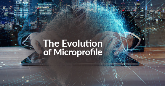 The Evolution of Microprofile