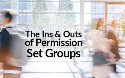 The Ins and Outs of Permission Set Groups