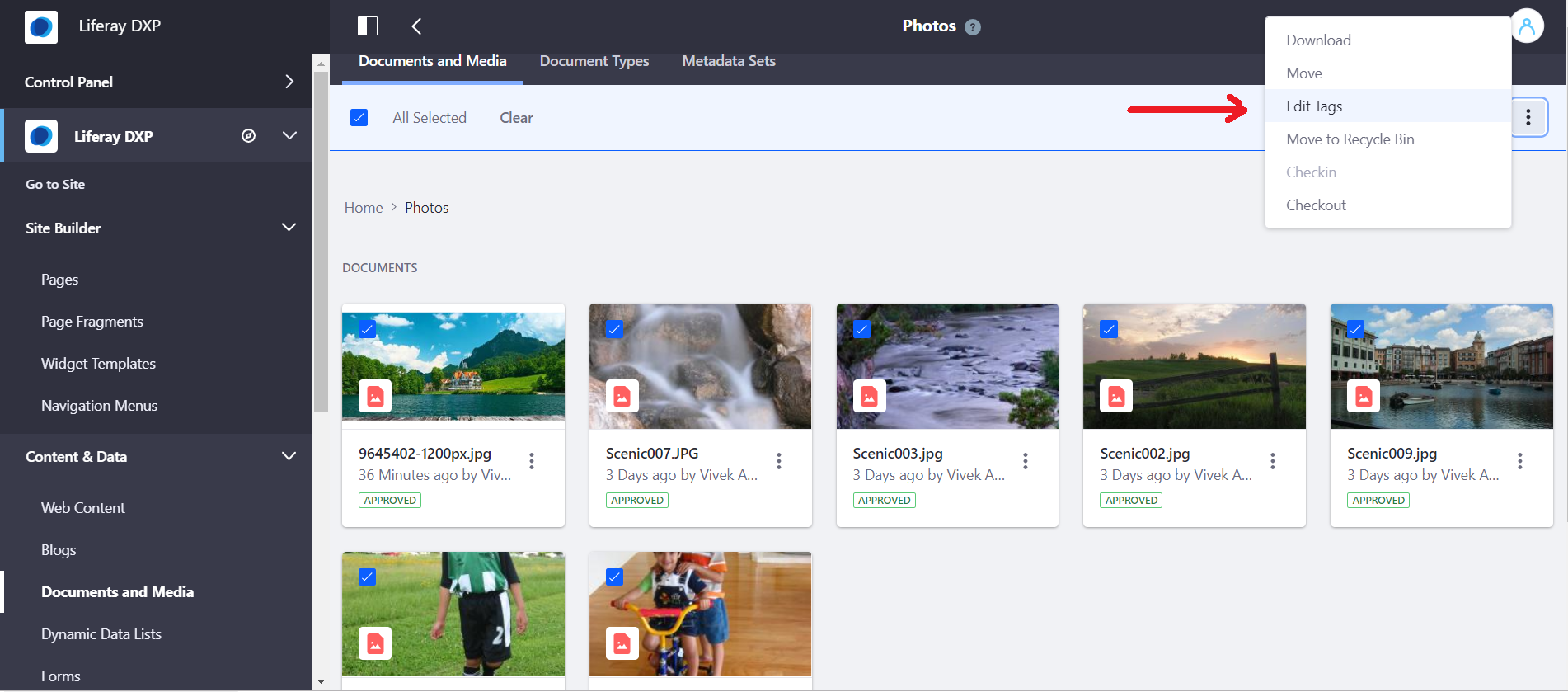 Top 10 New Liferay DXP 7.2 Features - Bulk Tagging