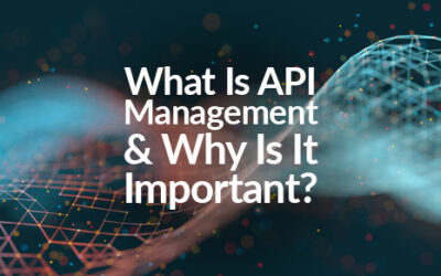 What Is API Management and Why Is It Important?