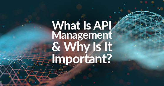 What Is API Management and Why Is It Important
