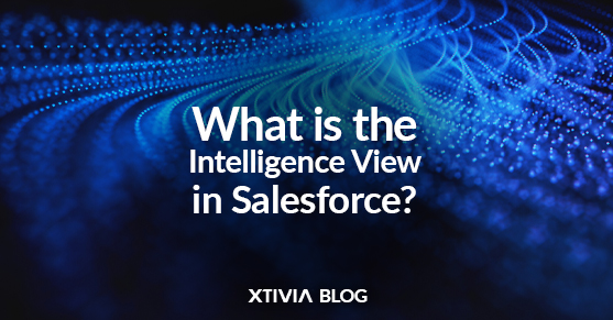 What is the Intelligence View in Salesforce?