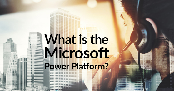 What is the Microsoft® Power Platform?