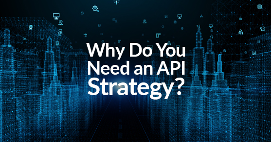 Why Do You Need an API Strategy