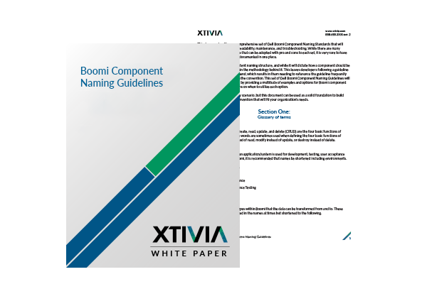 XTIVIA Boomi Naming Component Guidelines