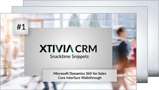 CRM Snacktime Snippets