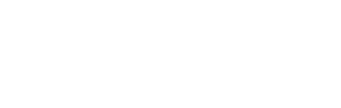 Salesforce Consulting Partner Logo