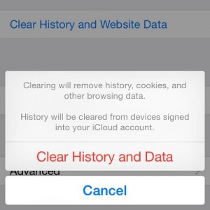 clear-safari-history-and-website-data