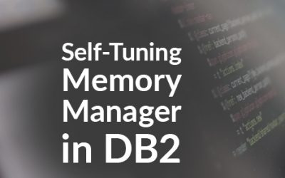 DB2’s Self-Tuning Memory Manager (STMM)