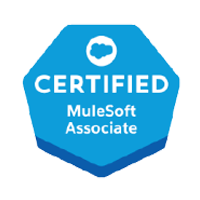 MuleSoft Partner