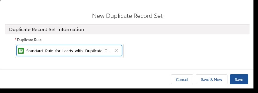 new custom duplicate record set
