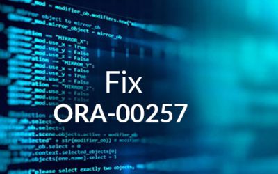 How to Fix ORA-00257: archiver error. Connect internal only, until freed
