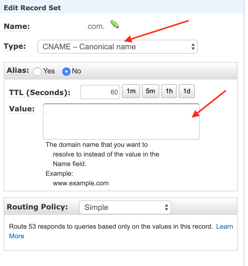 record type CNAME set value endpoint URL