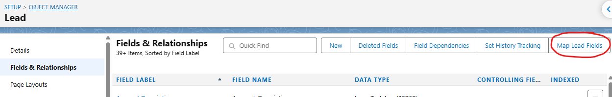 Salesforce Lead Field Mapping: Eliminate Manual Data Re-Entry During Lead Conversion Configuration