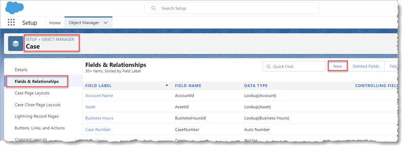 The Hottest Salesforce Features '22 Part I Fields and Relationships